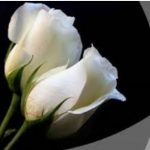 Screenshot_20201018_123155