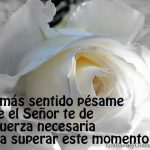9a037285cbb658211d0b4622bce2bb7b